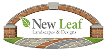 logo-area